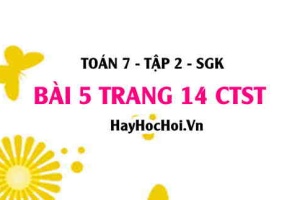 Bài 5 trang 14 Toán 7 Tập 2 Chân trời sáng tạo